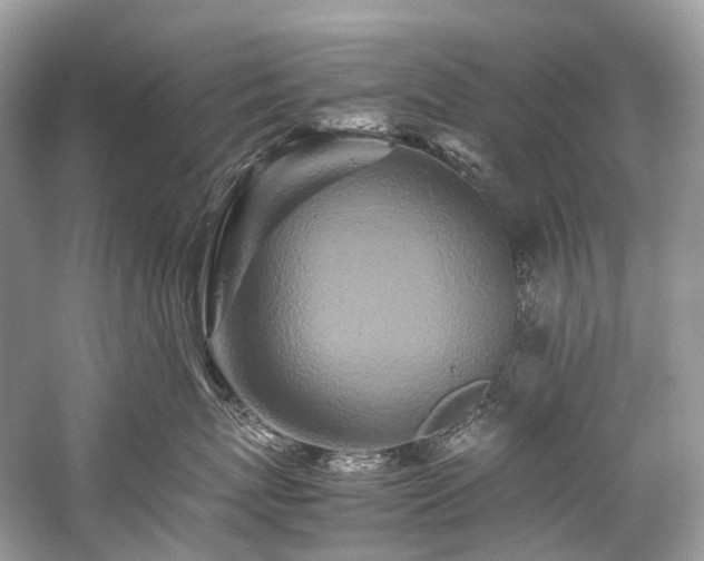 X0000059830767200510211213