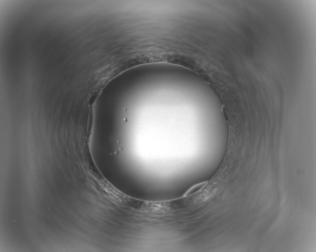 X0000059830768200510211213