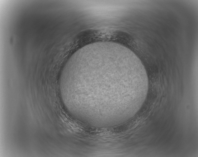 X0000059830769200510211212