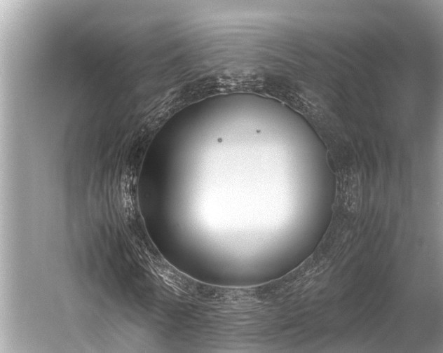 X0000059830770200510211212