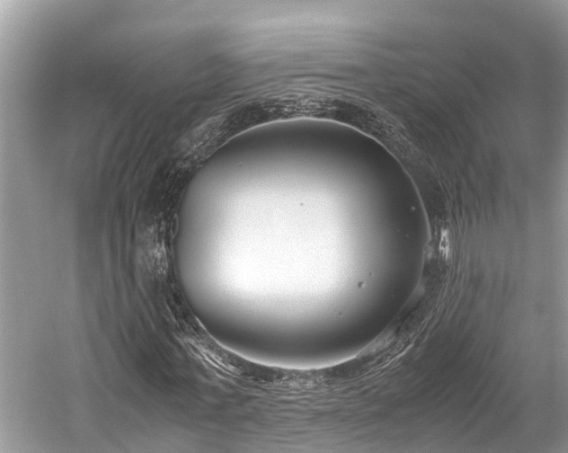 X0000059830771200510211212