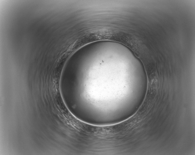 X0000059830772200510211212