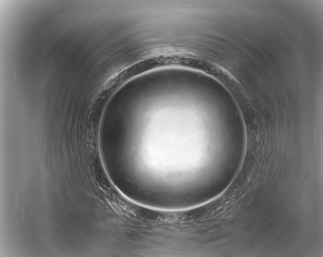 X0000059830775200510211212