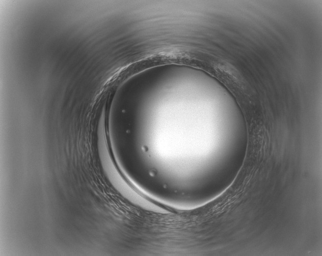 X0000059830776200510211212