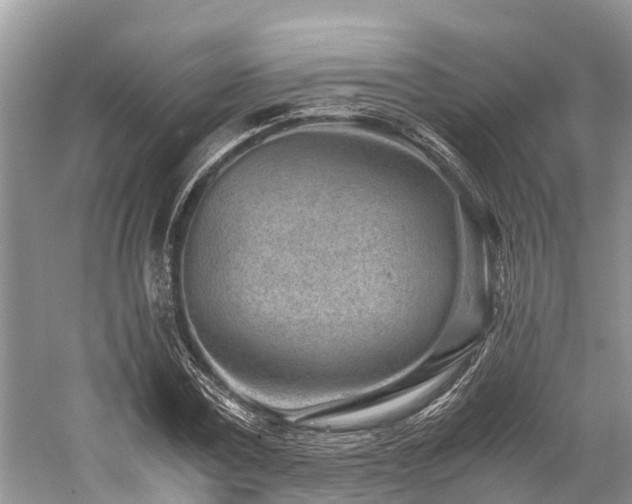 X0000059830779200510211212