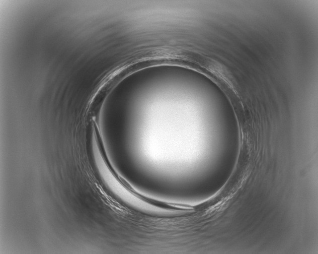 X0000059830781200510211212