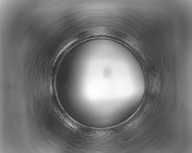 X0000059830782200510211212