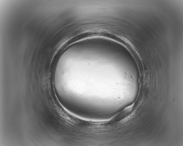 X0000059830783200510211212