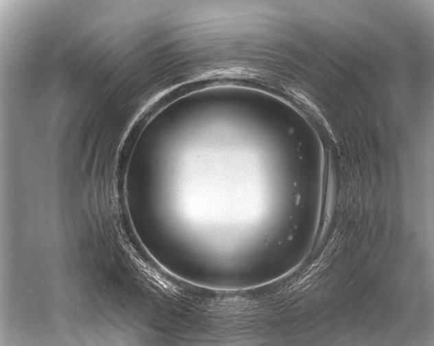 X0000059830784200510211212