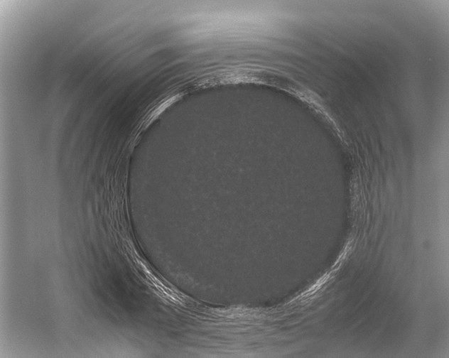 X0000059830785200510211212