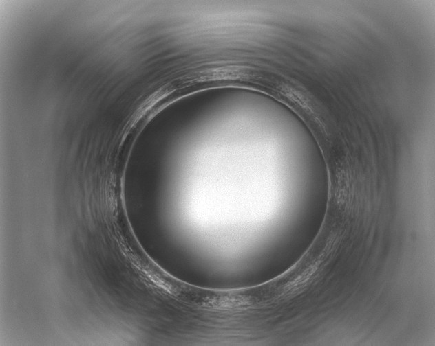 X0000059830786200510211212