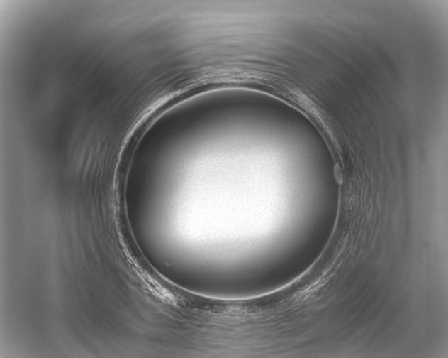 X0000059830787200510211212