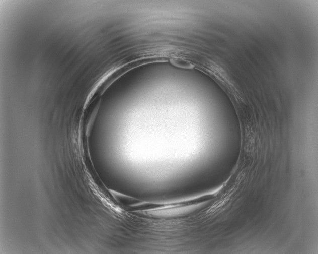 X0000059830788200510211212