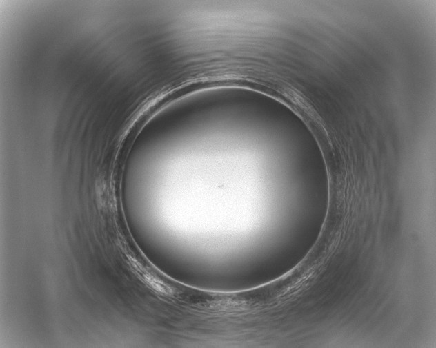 X0000059830789200510211212