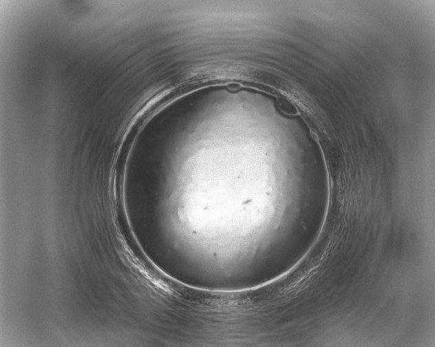 X0000059830790200510211212