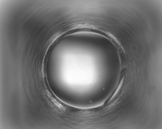 X0000059830791200510211212