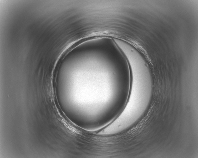 X0000059830792200510211212