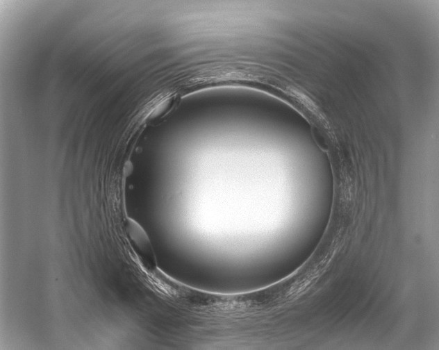 X0000059830793200510211212