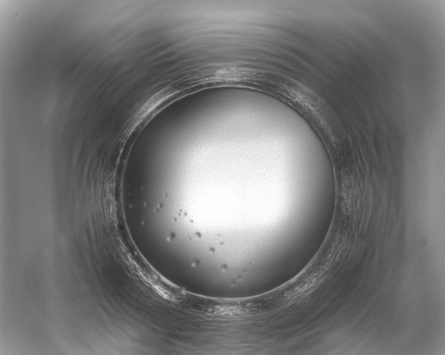 X0000059830794200510211212