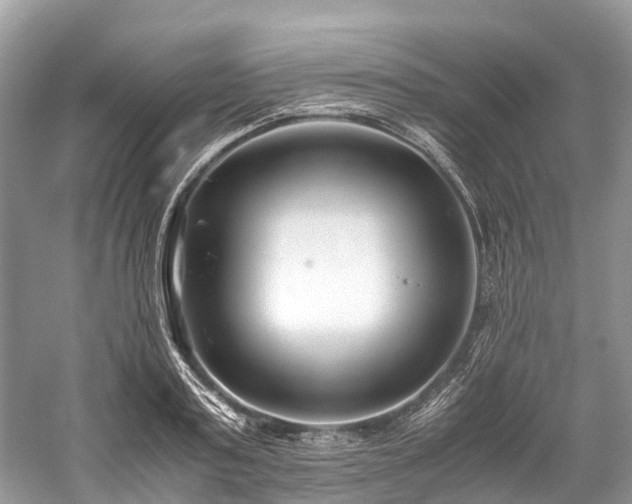 X0000059830795200510211212