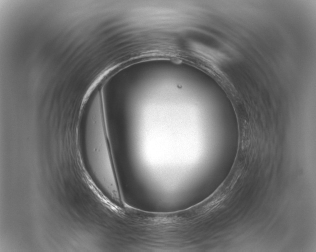 X0000059830796200510211212