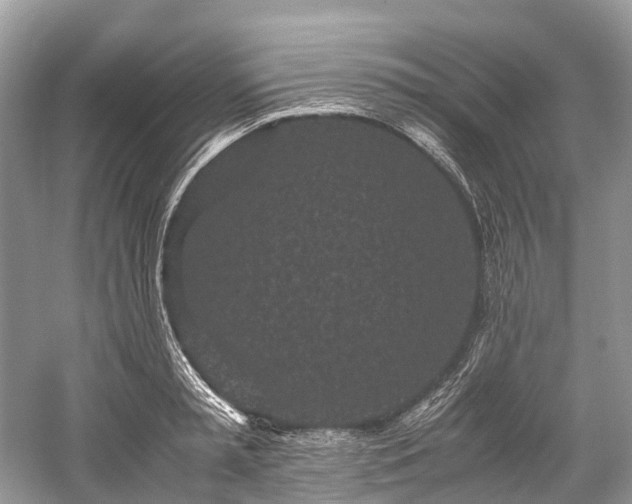 X0000059830797200510211212