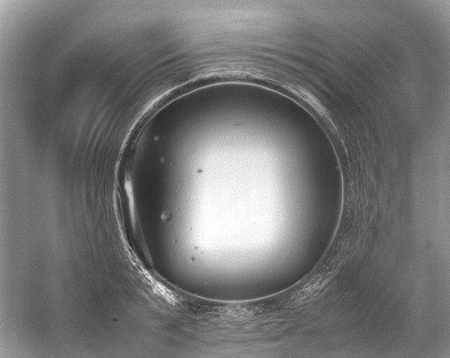 X0000059830799200510211211