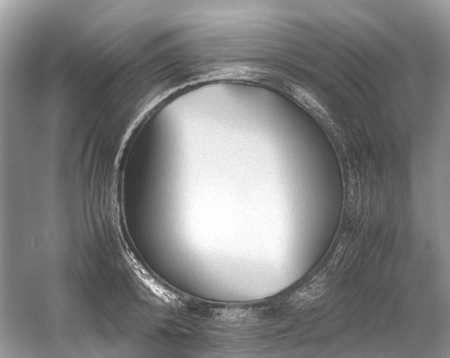 X0000059830800200510211211