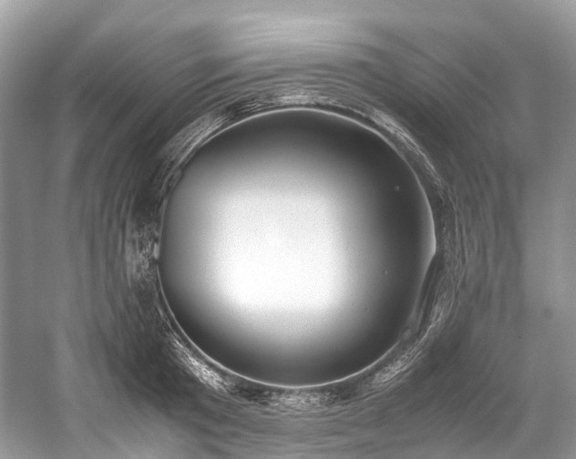 X0000059830801200510211211