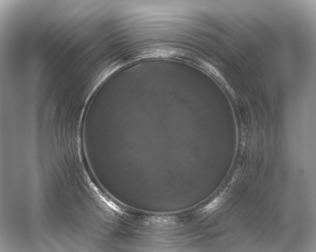 X0000059830802200510211211