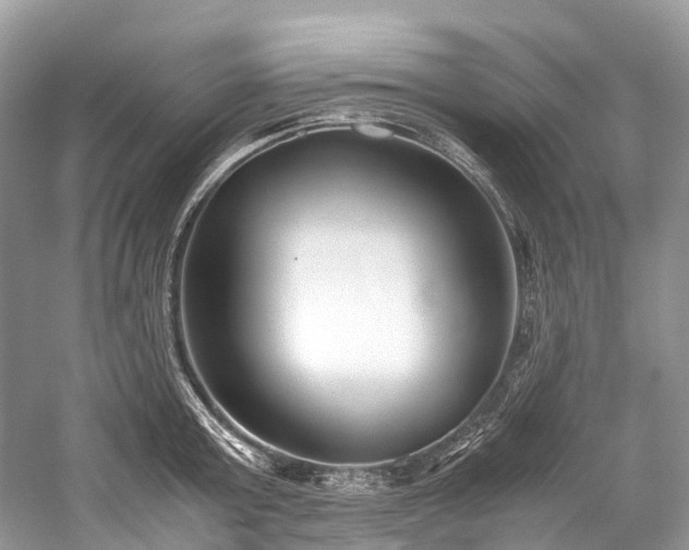 X0000059830803200510211211