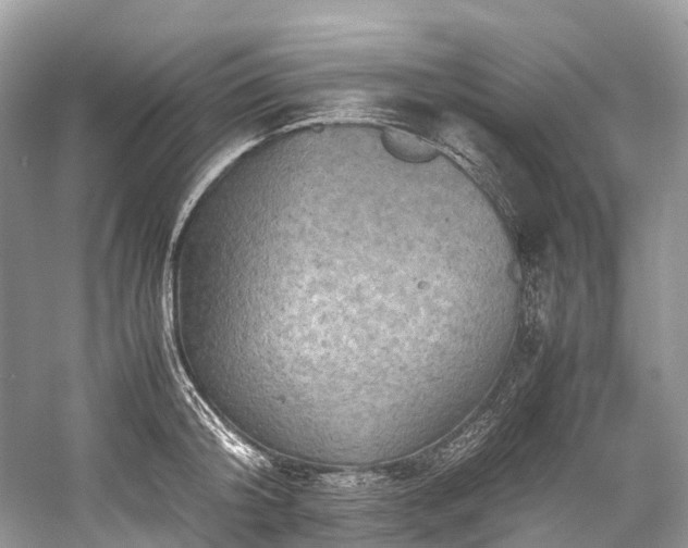 X0000059830804200510211211