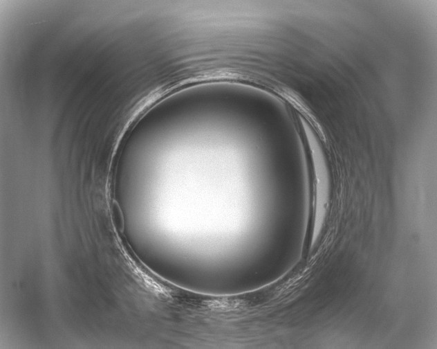 X0000059830805200510211211