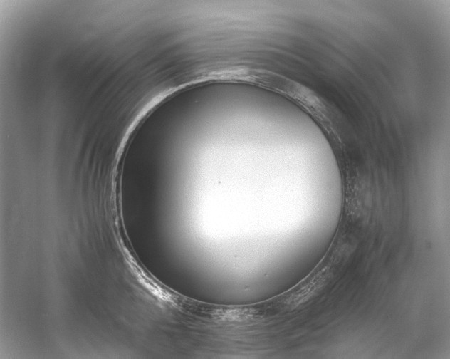 X0000059830808200510211211