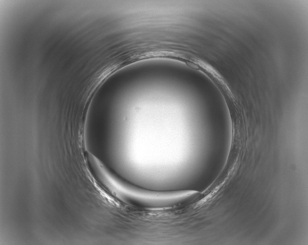 X0000059830809200510211211