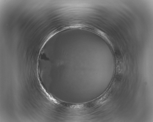 X0000059830810200510211211