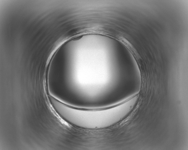 X0000059830812200510211211