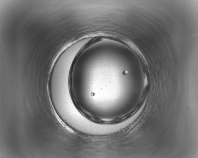 X0000059830813200510211211