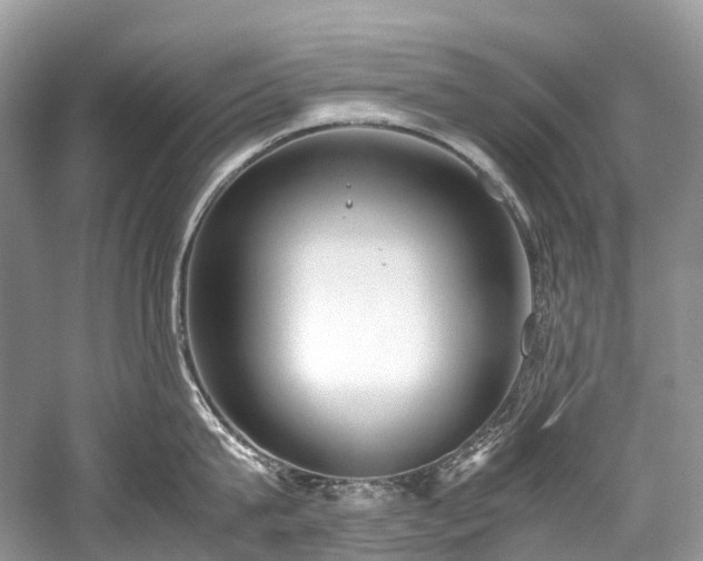 X0000059830815200510211211