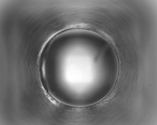 X0000059830816200510211211