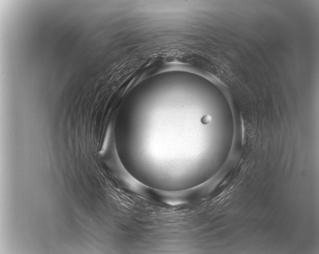 X0000059830818200510211210