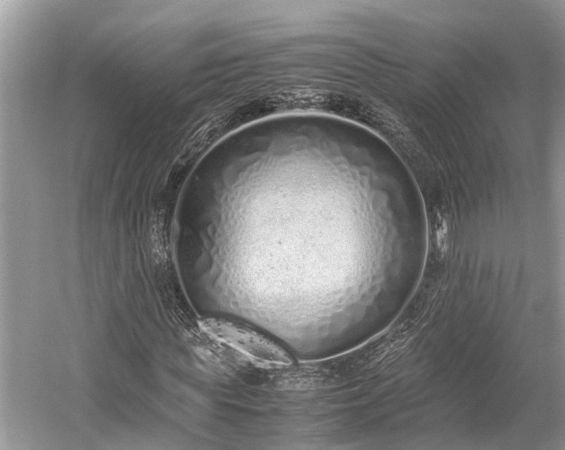 X0000059830819200510211210