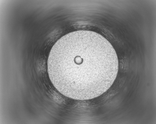 X0000059830820200510211210