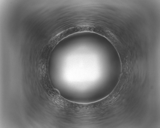 X0000059830821200510211210