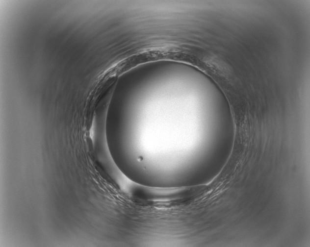 X0000059830822200510211210