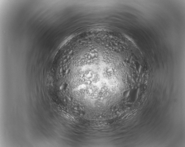 X0000059830823200510211210