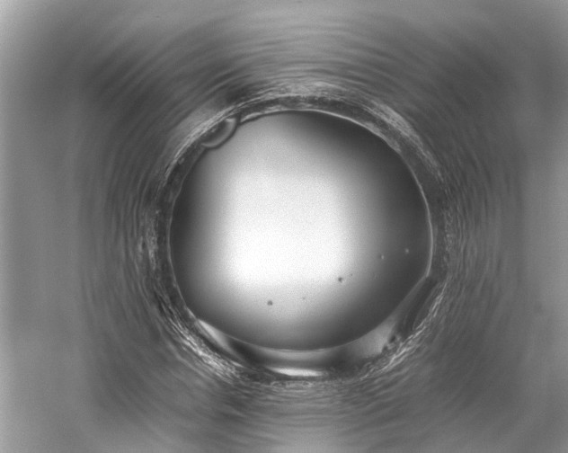 X0000059830826200510211211