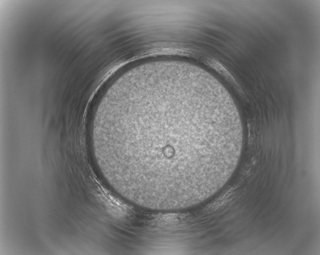 X0000059830828200510211211