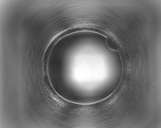 X0000059830830200510211211