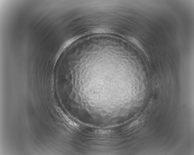 X0000059830831200510211211